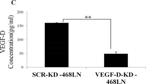 vegf human elisa kit quantikine|vegfa elisa.